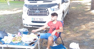 Arkadaşlık gemi kaptanıyım