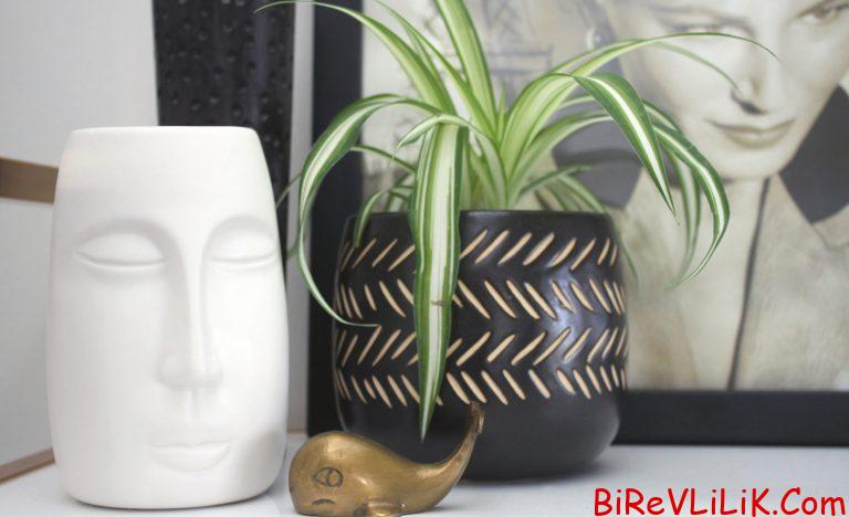 Home 56 Easy ways to reduce stress and improve mental clarity.