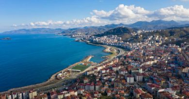 Giresun bayan öğretmen arıyorum