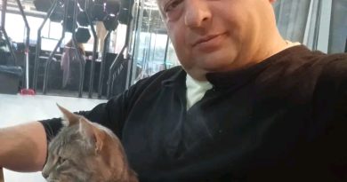 Kalbime Giden Yol Arkadaşı Arıyorum