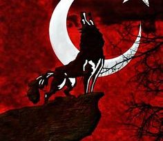 Düzceli bayan arkadaş arıyorum